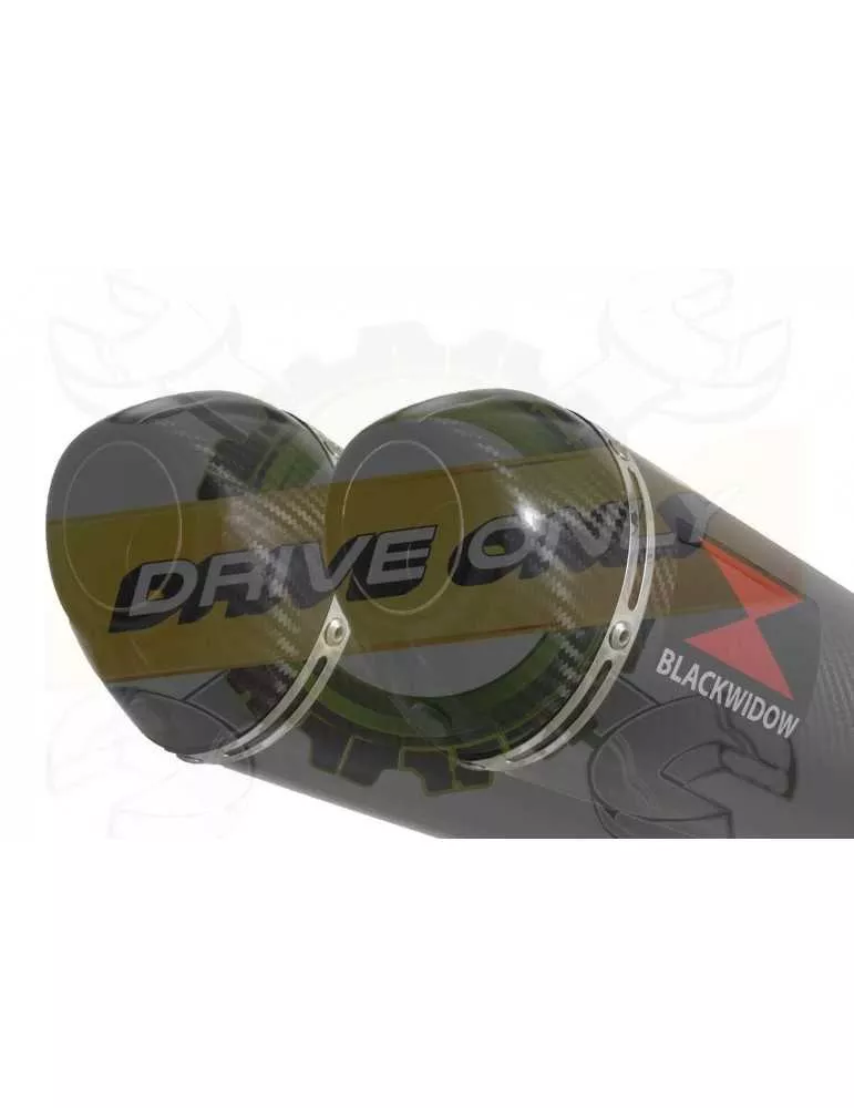 ZX-11 ZX11 4-2 Ligne complète & Silencieux Ovale En Carbone 400mm