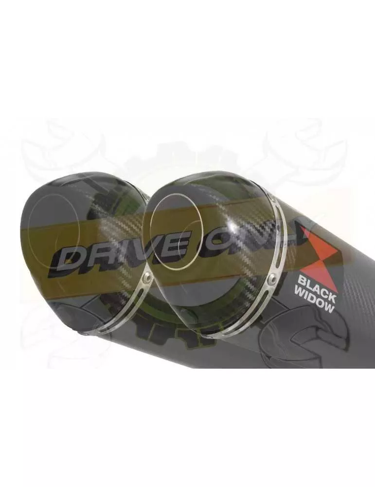 ZX-11 ZX11 4-2 Ligne complète & Silencieux Ovale En Carbone 200mm