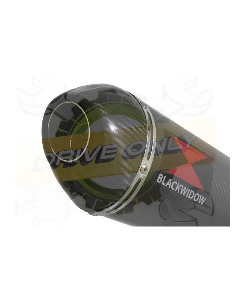 ZX6R ZX-6R 2009/2016 Decata / Kit Tube de raccord & Silencieux Ovale En Carbone 200mm