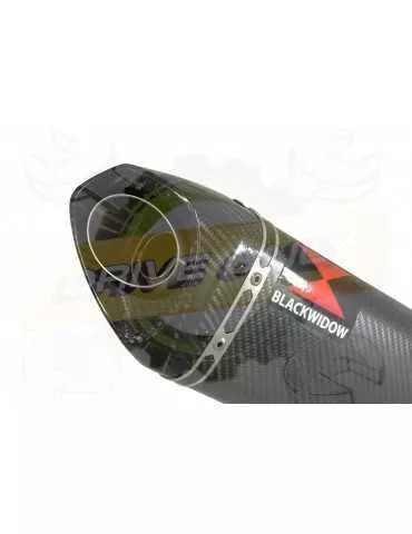 VFR800F VFR 800 1997-2003 (RC46) Ligne complètes & Tri Silencieux Ovale En Carbone + Carbon Tip 250mm