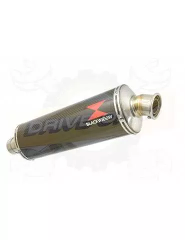 F700 GS Exhaust tube de raccord + Silencieux Ovale En Carbone 400mm