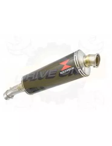 F650 GS Exhaust tube de raccord + Silencieux Ovale En Carbone 400mm