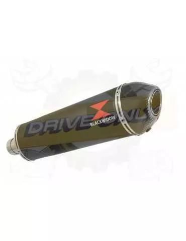 F650 GS Exhaust tube de raccord + Ovale Black Stainless Silencieux + Carbon Tip 400mm