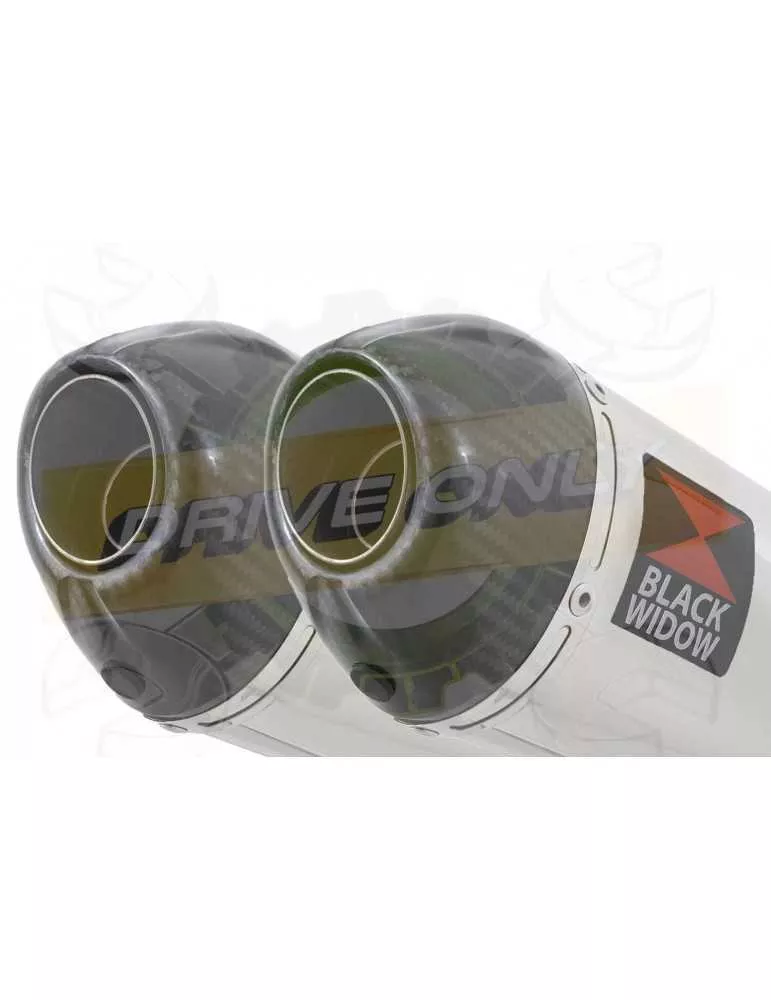 CB1100 X11 4-2 Ligne complète & Silencieux Ovale Inox & carbone 200mm