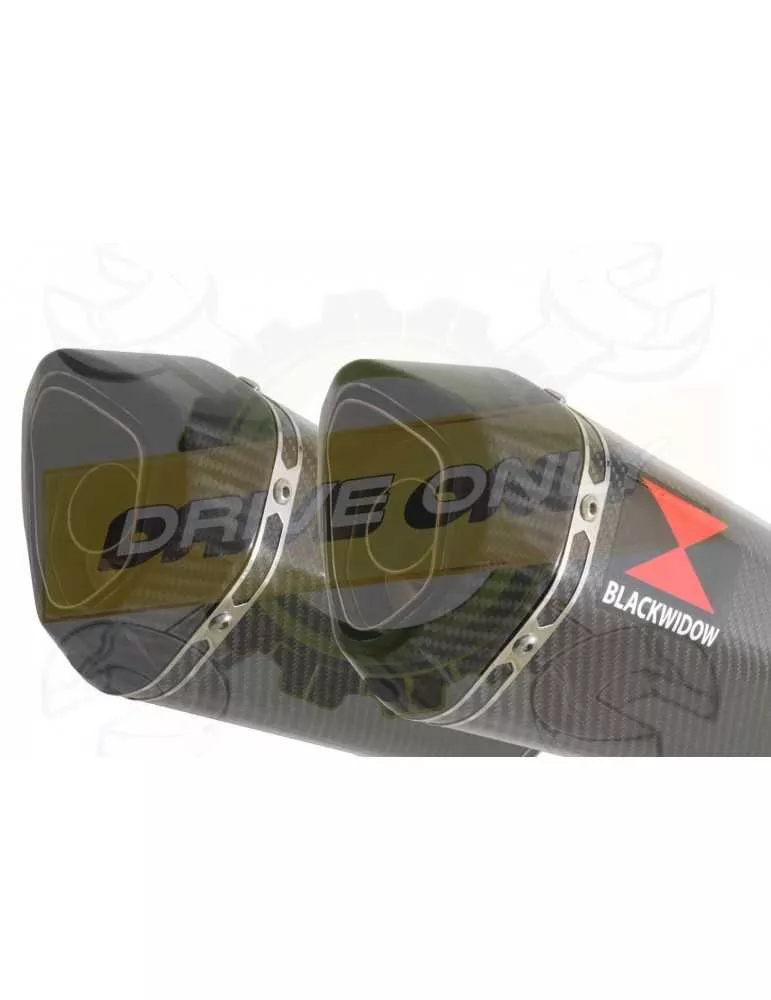 CBF1000 2006-2011 Par paire, Silencieux Hexagonale Carbone 300mm