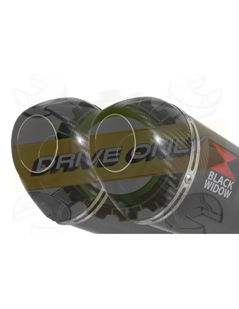 CBF1000 2006-2011 Par paire, Silencieux Ovale Carbone 200mm