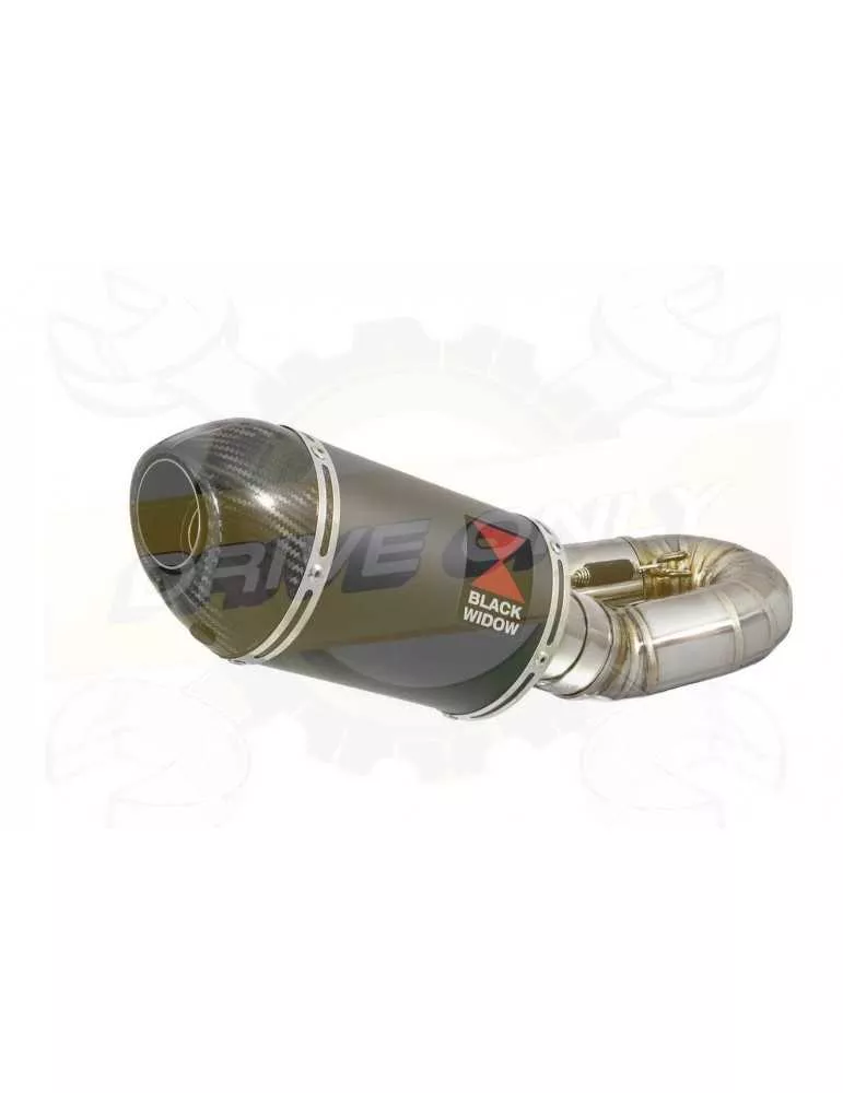CBR1000RR Fireblade 08-13 Silencieux kit avec Silencieux Ovale Noir Inox + Carbone tip 200mm