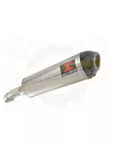 F800 GS Adventure Exhaust tube de raccord + Ovale Stainless Silencieux + Carbon Tip 400mm