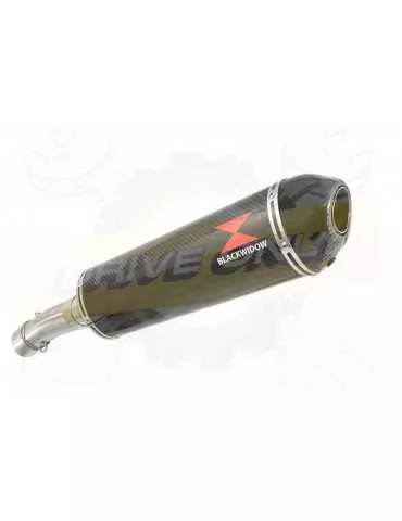 F800 GS Adventure Exhaust tube de raccord + Silencieux Ovale En Carbone + Carbon Tip 400mm