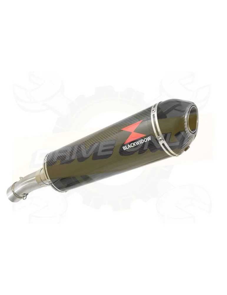 F800 GS Adventure Exhaust tube de raccord + Silencieux Ovale En Carbone + Carbon Tip 400mm