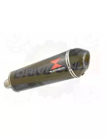 F800 GS Adventure Exhaust tube de raccord + Silencieux Ovale En Carbone + Carbon Tip 400mm