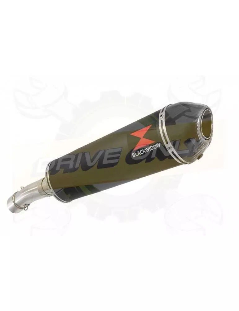 F800 GS Adventure Exhaust tube de raccord + Ovale Black Stainless Silencieux + Carbon Tip 400mm