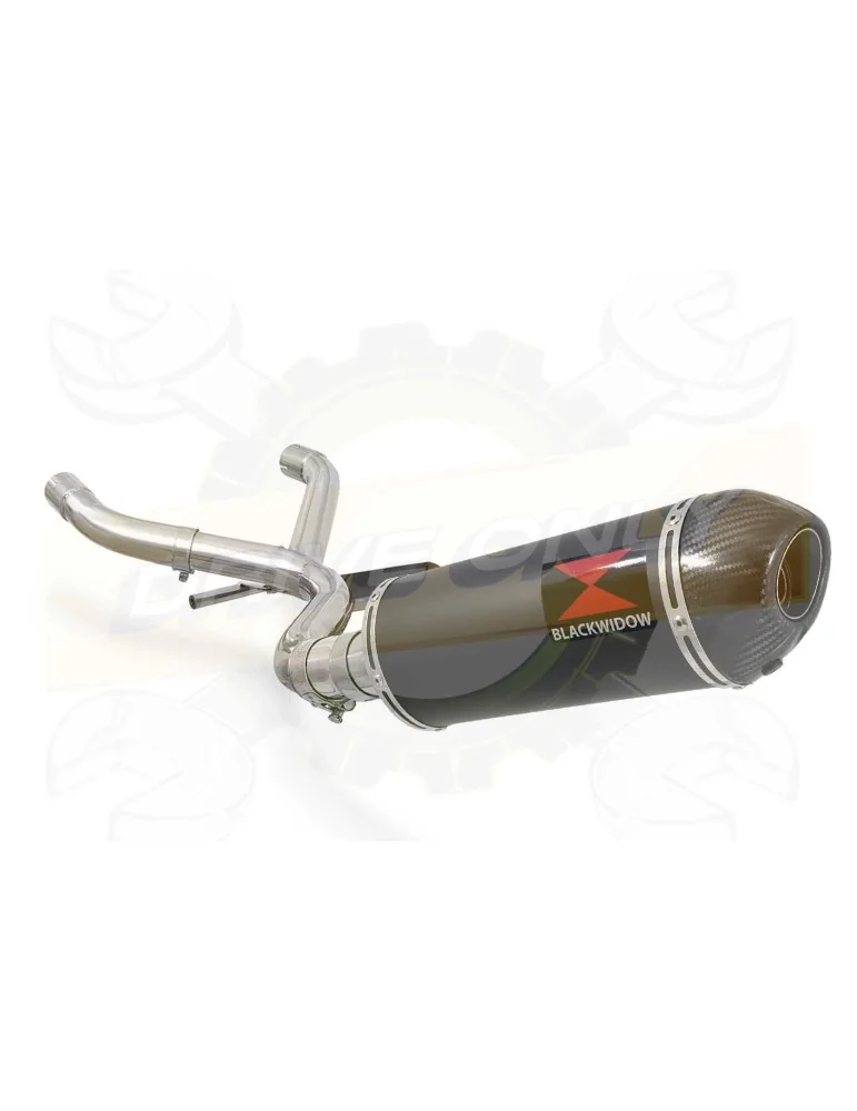 R1150 R ROCKSTER Décatalyseur exhaust collector & Ovale Black stainless Silencieux + carbon tip 300mm