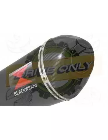 R1150 GS ADVENTURE Décatalyseur exhaust collector & Ovale Black stainless Silencieux + carbon tip 300mm