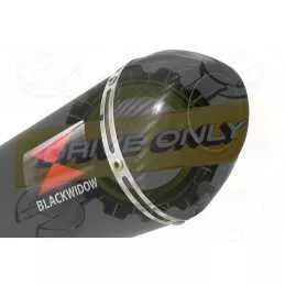 R1150 GS exhaust tube de raccord et Ovale black Silencieux En Inox + carbon tip 300mm