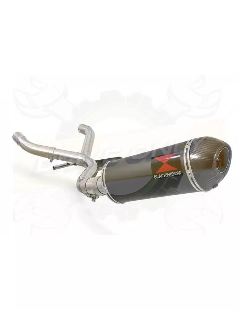 R850R ROADSTER Décatalyseur exhaust collector & Ovale Black Silencieux En Inox + carbon tip 300mm
