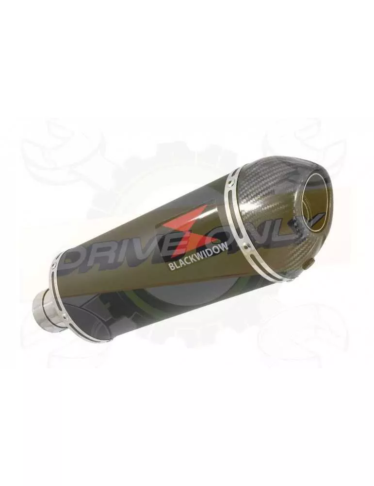R850GS exhaust tube de raccord et Ovale Noir stainless/carbon tip Silencieux 300mm