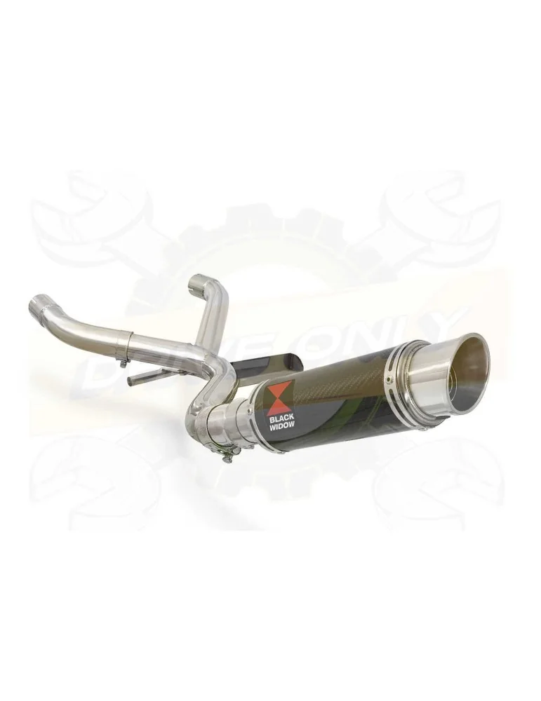 R1150 GS ADVENTURE Décatalyseur exhaust collector & GP Style Rond En Carbone Silencieux 230mm