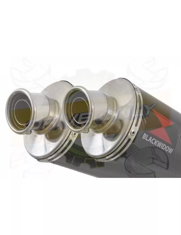 CBR1100 CBR 1100 XX Blackbird 4-2 Ligne complète & Silencieux Ovale En Carbone 400mm
