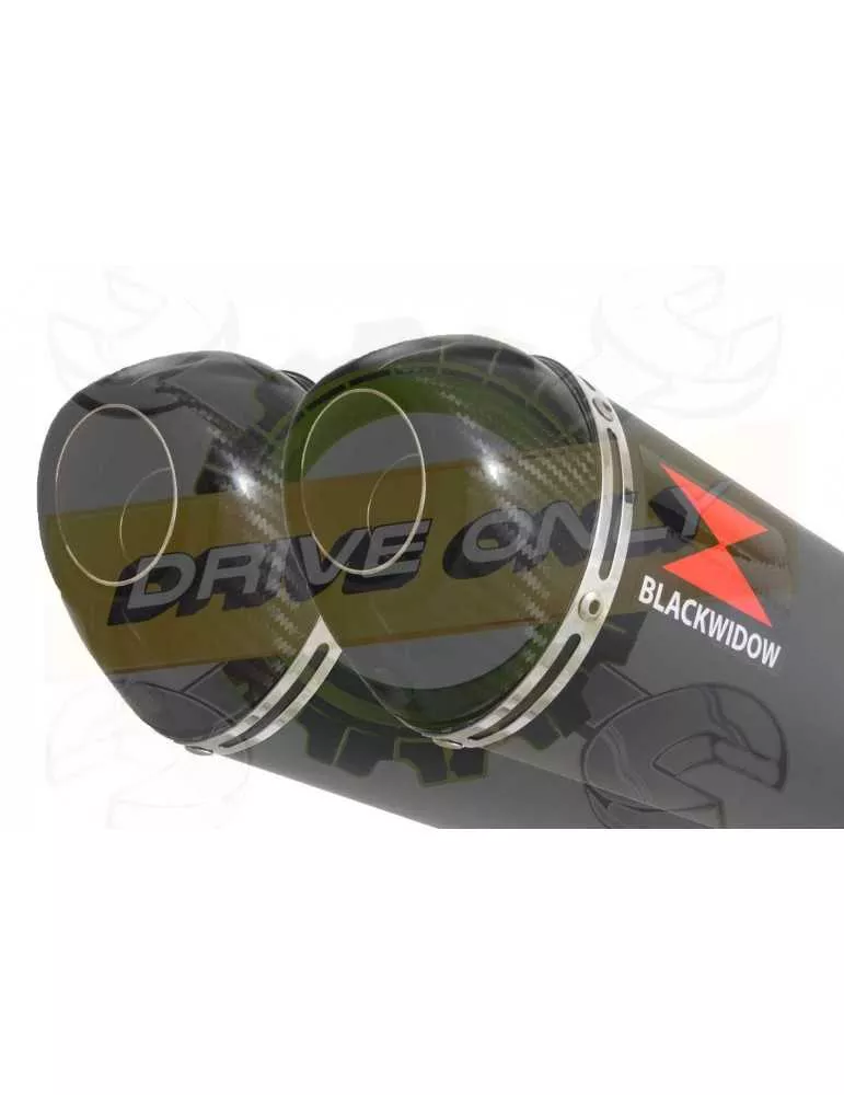 CBR1100 CBR 1100 XX Blackbird 4-2 Ligne complète & Silencieux Ovale Noir Inox & Carbone tip 300mm