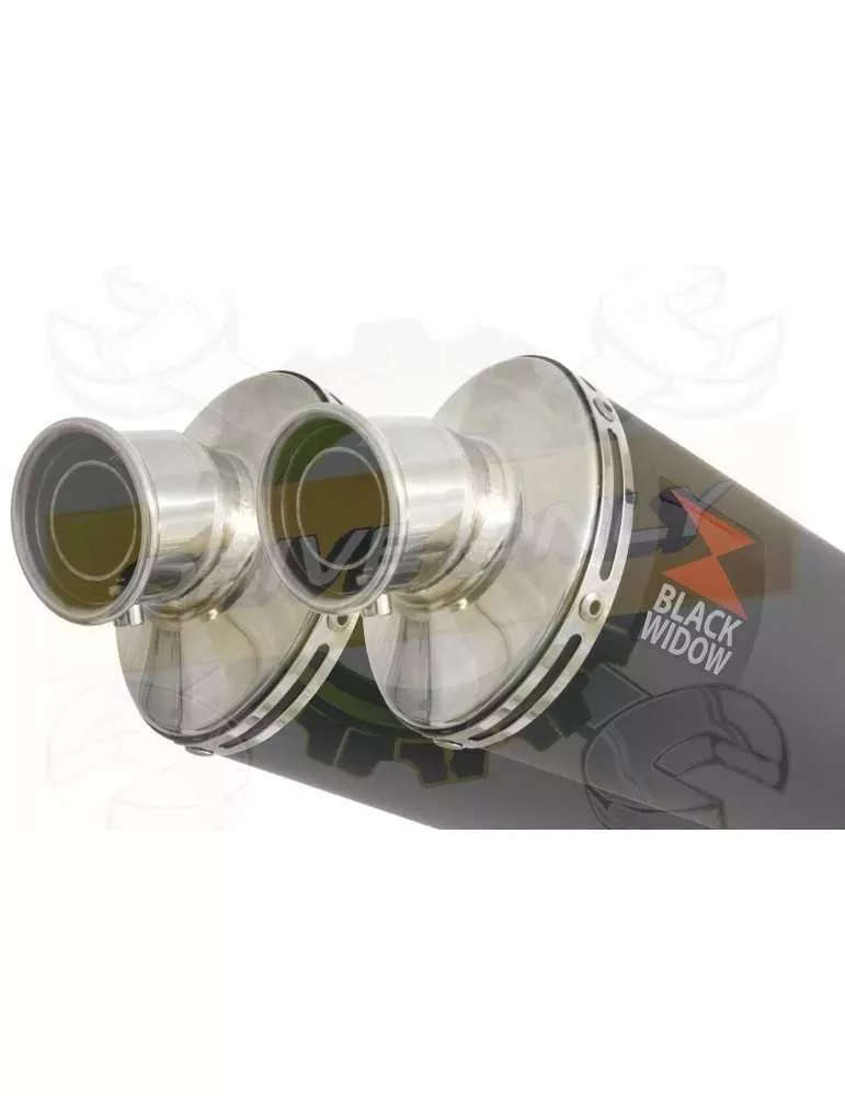 CBR1100 CBR 1100 XX Blackbird 4-2 Ligne complète & Silencieux Ovale Noir En Inox 230mm