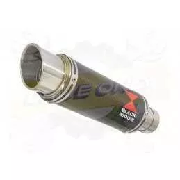 APRILIA RS4 125  2011 - 2018 Gp Carbone / Titane 230mm