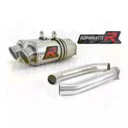 Silencieux sport Dominator : VTR 1000 Firestorm 2002 - 2006