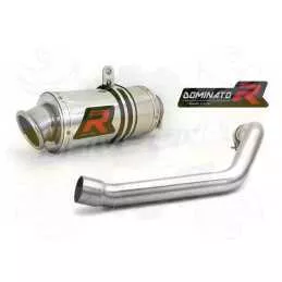 Silencieux sport Dominator : CB 600 F Hornet 2002 - 2002