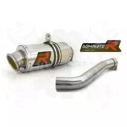 Silencieux sport Dominator : XL V 650 Transalp 2001 - 2007