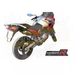 Silencieux sport Dominator : XL 125 Varadero 2001 - 2016