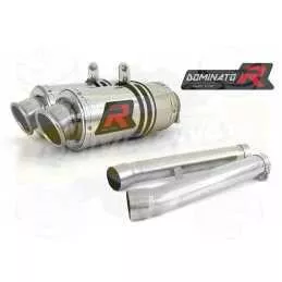 Silencieux sport Dominator : Cbr 1100 XX 1996 - 2006