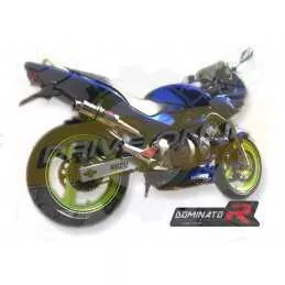 Silencieux sport Dominator : CB 600 F Hornet 1998 - 2001