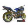 Silencieux sport Dominator : CB 600 F Hornet 1998 - 2001