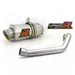 Silencieux sport Dominator : CB 600 F  Hornet 1998 - 2001