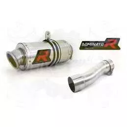 Silencieux sport Dominator : Vtr 250 2010 - 2016