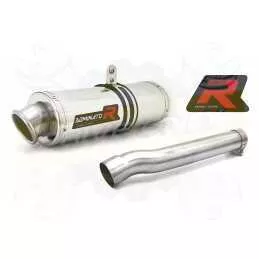 Silencieux sport Dominator : CBR 1000 RR 2004 / 2005