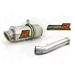 Silencieux sport Dominator : Cbr 600 F 1999 - 2000