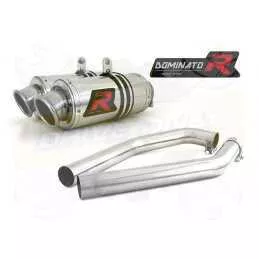 Silencieux sport Dominator : VTR 1000 Firestorm SP1 1997 - 2001