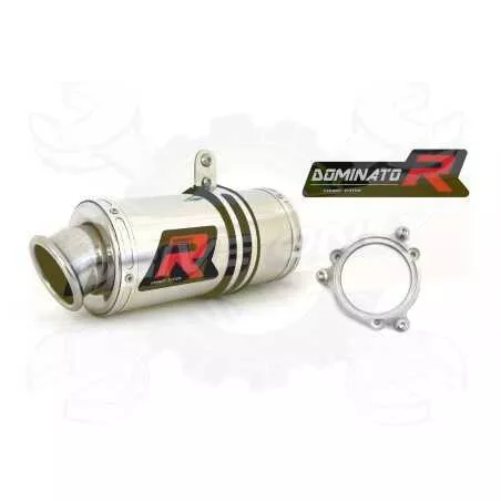 Silencieux sport Dominator : Cbr 929 / 954 RR 2000 / 2004