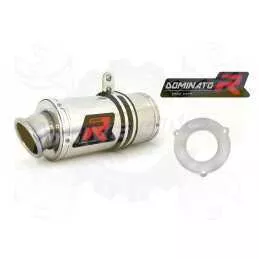 Silencieux sport Dominator : GT 650 R / N / Comet 2008 - 2016