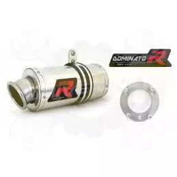 Silencieux sport Dominator : ZX12R Ninja 2000 - 2005