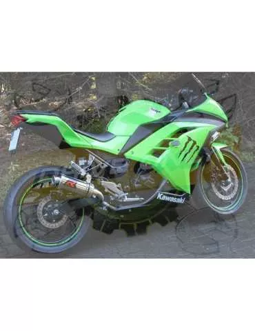 Silencieux sport Dominator : ZX 300 R Ninja 2012 - 2016