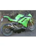 Silencieux sport Dominator : ZX 300 R Ninja 2012 - 2016
