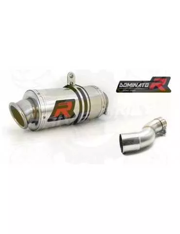 Silencieux sport Dominator : ZX 300 R Ninja 2012 - 2016