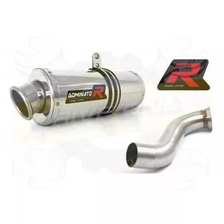 Silencieux sport Dominator : 690 Duke Standard / R 2012 - 2015
