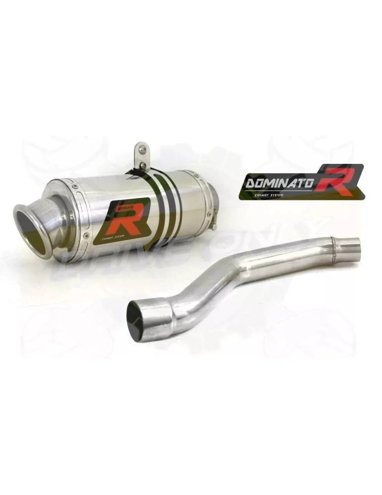 Silencieux sport Dominator : XF 650 Freewind 1997 - 2001