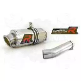 Silencieux sport Dominator : SV 650 S / N 1999 - 2002