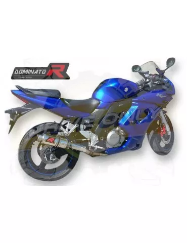 Silencieux sport Dominator : SV 650 S / N 2003 - 2013