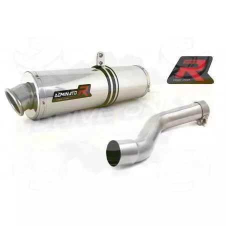 Silencieux sport Dominator : DR 650 RSE 1990 - 1996