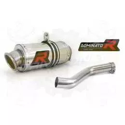 Silencieux sport Dominator : GS 500 1988 - 2002